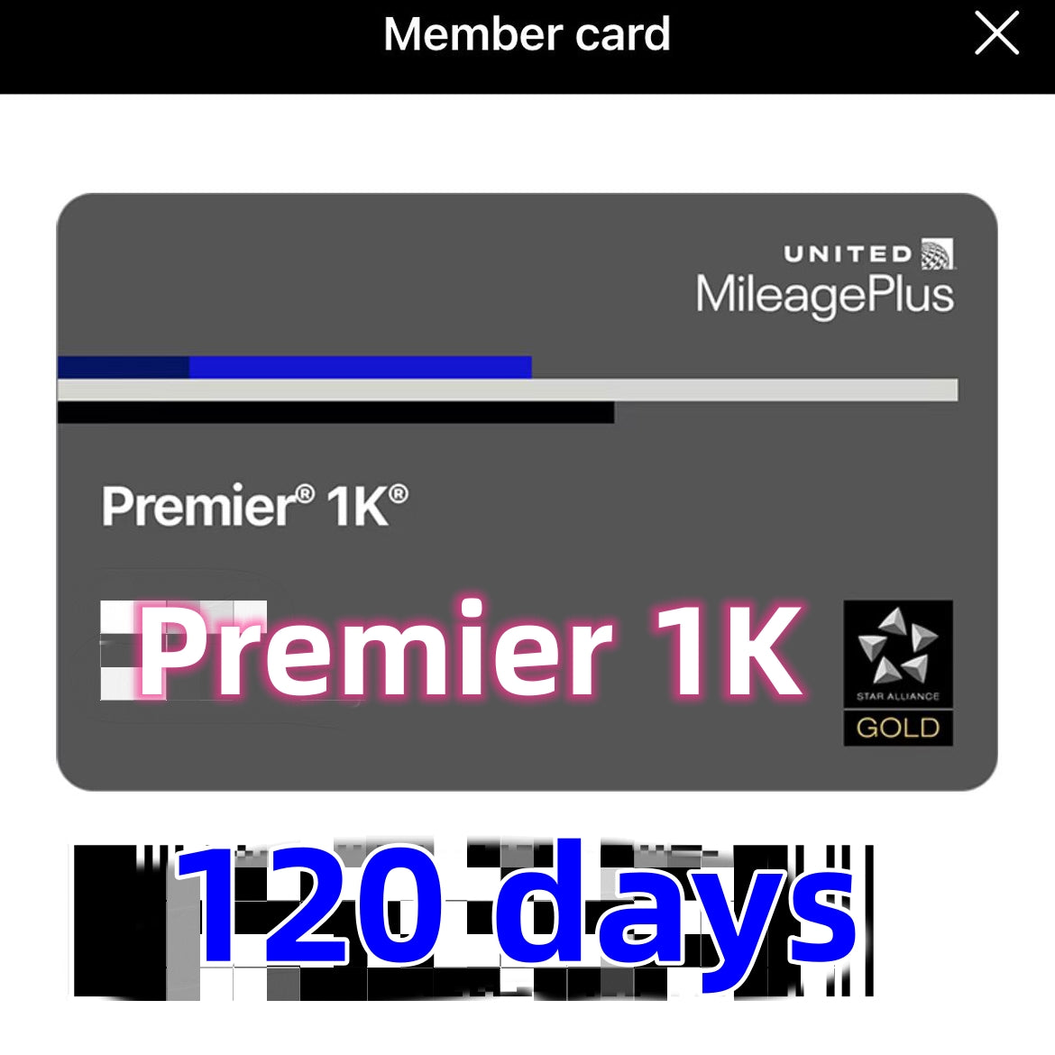 UA United Airlines Premier 1K Status Star Alliance Gold 120 Days Instant Upgrade